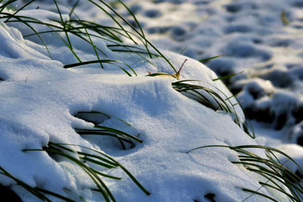 小雪節(jié)氣的來歷 小雪節(jié)氣有哪些風俗