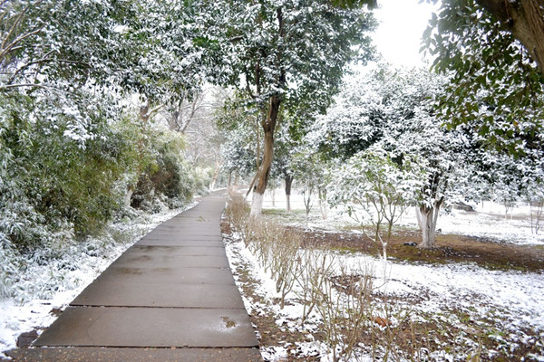 小雪節(jié)氣會(huì)下雪嗎 小雪節(jié)氣的含義是什么