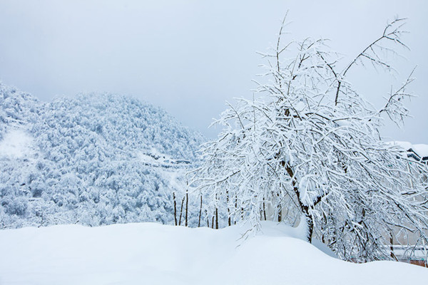 大雪節(jié)氣是幾月幾號2021年 大雪節(jié)氣是什么意思