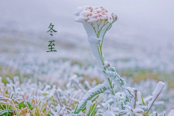 冬至每年都是同一天嗎 冬至是白天長還是晚上長