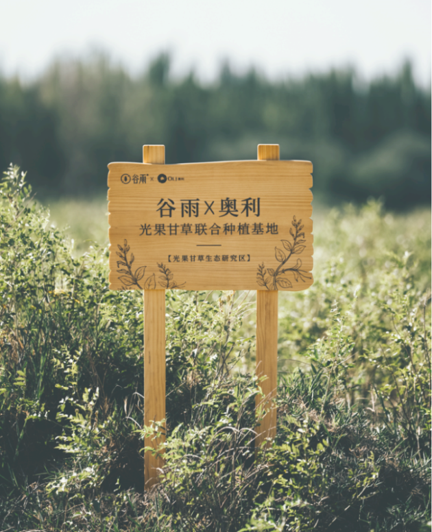 功效護膚時代 你覺得谷雨護膚品牌子怎么樣