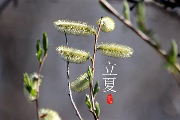 立夏的來歷和風(fēng)俗 立夏可以穿夏裝嗎