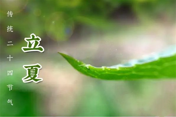 立夏吃蛋的風(fēng)俗由來(lái) 立夏吃咸鴨蛋的寓意