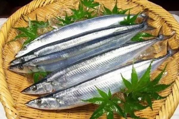 秋刀魚孕婦可以吃嗎 秋刀魚要去內(nèi)臟嗎