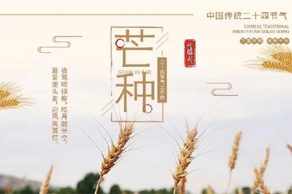 芒種是夏季的第幾個節(jié)氣 芒種屬于哪個季節(jié)