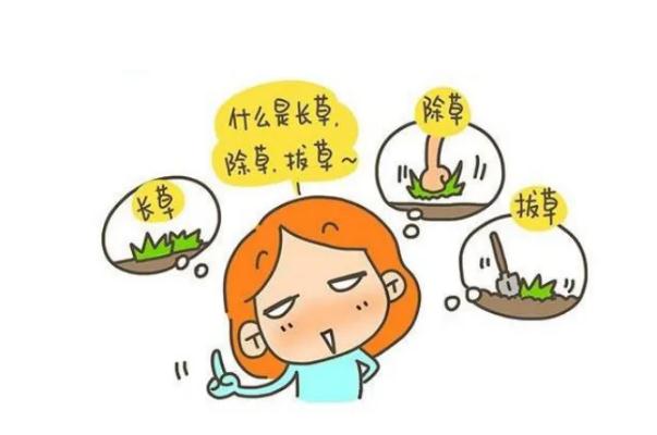 拔草是什么意思 拔草和種草的區(qū)別