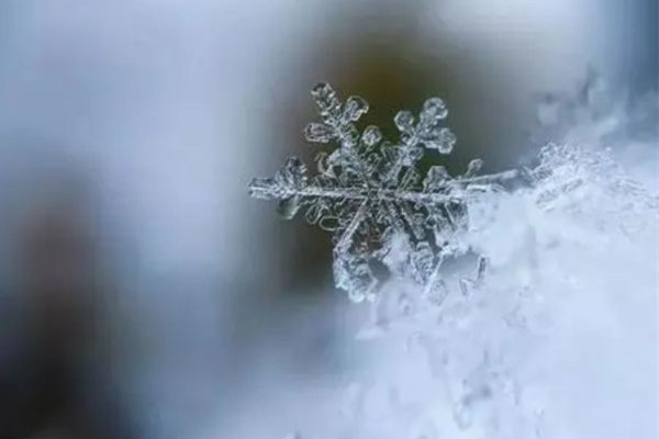 今年首場寒潮最強(qiáng)雨雪下在哪? 雨雪天氣會影響手機(jī)信號嗎