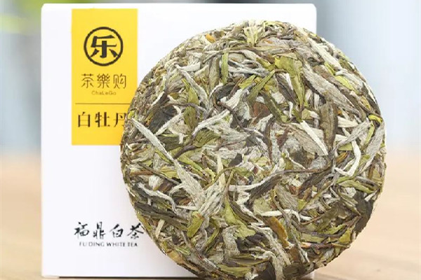 白牡丹茶要放冰箱嗎 白牡丹茶怎么保存