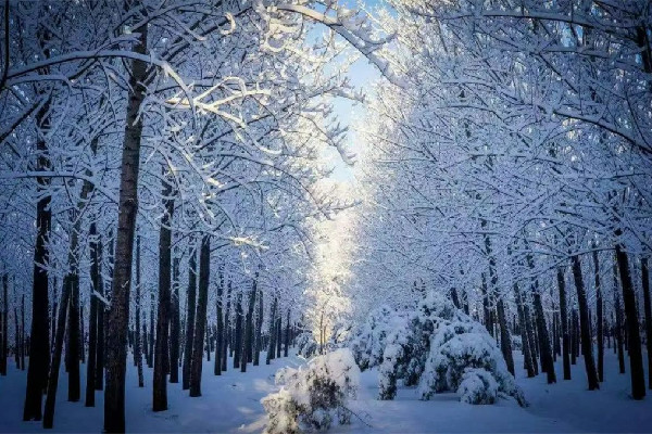 今年以來最大范圍雨雪來襲 雨雪天氣會影響飛機(jī)起飛嗎