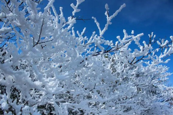 今年以來最大范圍雨雪來襲 雨雪天氣會影響飛機(jī)起飛嗎