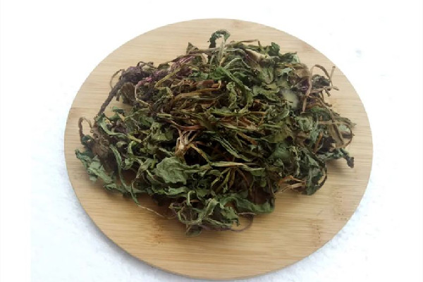 蒲公英茶的價格多少錢一斤 蒲公英茶買葉還是買根好